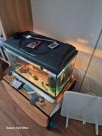 Aqarium 60 liter met veel exstra, Dieren en Toebehoren, Overige typen