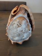 Camee handgesneden schelp, Antiek en Kunst, Ophalen of Verzenden