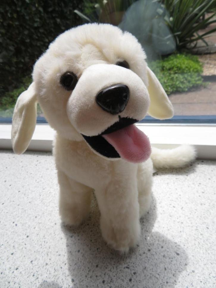 Hond merk PIA International Soft Toys roomwit velours, Kinderen en Baby's, Speelgoed | Knuffels en Pluche, Zo goed als nieuw, Hond