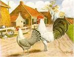 Broedeieren Friese kippen Fryske hinnen., Dieren en Toebehoren, Geslacht onbekend, Kip