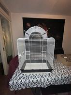 Vogelkooi, Ophalen, Gebruikt, Metaal, Vogelkooi