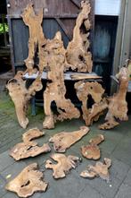 Prachtige olijfboom olijfhout planken, Doe-het-zelf en Verbouw, Hout en Planken, Ophalen, 25 tot 50 mm, Nieuw, Plank