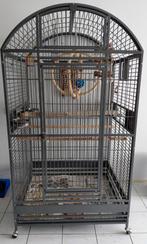 Degelijke papegaai kooi, Dieren en Toebehoren, Vogels | Hokken en Kooien, Ophalen of Verzenden, Zo goed als nieuw, Metaal, Vogelkooi
