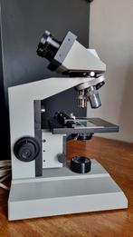 Laboratorium microscoop, Ophalen, Zo goed als nieuw, 400x tot 1000x, Stereomicroscoop