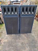 Grote speakers mooi voor carnaval zuipkeet etc, Ophalen, 120 watt of meer, Subwoofer, Overige merken