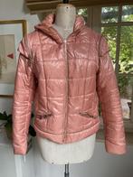 Gewatteerde jas met kap , maten L en XL, Overige kleuren, Maat 46/48 (XL) of groter, Ophalen of Verzenden, Symonder