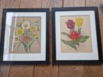 2 ingelijste botanische prenten., Huis en Inrichting, Woonaccessoires | Schilderijen, Tekeningen en Foto's, Minder dan 50 cm, Overige typen