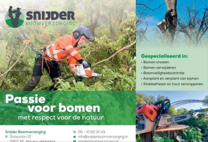 Boomverzorging / bomen rooien., Diensten en Vakmensen, Tuinmannen en Stratenmakers