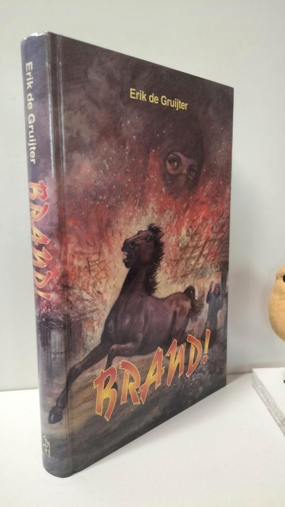 Gruijter, Erik de; Brand!, Boeken, Kinderboeken | Jeugd | 10 tot 12 jaar, Gelezen, Ophalen of Verzenden