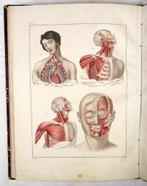[Anatomie Atlas] Bayle 1839 Atlas Elementaire d’Anatomie, Antiek en Kunst, Ophalen of Verzenden