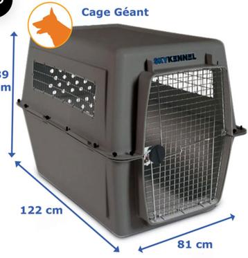 Transport box XXL IATA Hond Vliegtuig  beschikbaar voor biedingen