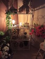 Witte rek, Huis en Inrichting, Ophalen, 150 discs of meer, Zo goed als nieuw, Metaal