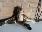 Steiff vintage zeldzame Gibbon aap ca 1962, Ophalen of Verzenden, Gebruikt, Overige typen, Steiff