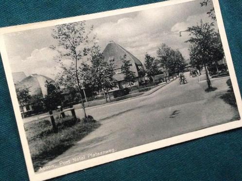 Ansichtkaart van de Port Natal Plataanweg in ASSEN, Verzamelen, Ansichtkaarten | Nederland, Ongelopen, Drenthe, 1920 tot 1940