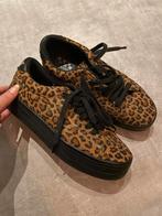 Leopard sneakers, Verzenden, Zo goed als nieuw, Bruin, Sneakers of Gympen