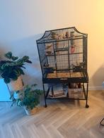 Pyrrhura, Ophalen of Verzenden, Zo goed als nieuw, Hout, Vogelkooi