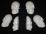 gipsen halve Schedels mens, platte Skull beschilderbaar gips, Ophalen of Verzenden, Nieuw, Materiaal