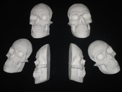 gipsen halve Schedels mens, platte Skull beschilderbaar gips, Hobby en Vrije tijd, Knutselen, Nieuw, Materiaal, Ophalen of Verzenden