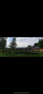 4 paards stampmolen, Dieren en Toebehoren, Paarden en Pony's | Overige Paardenspullen, Ophalen of Verzenden, Zo goed als nieuw