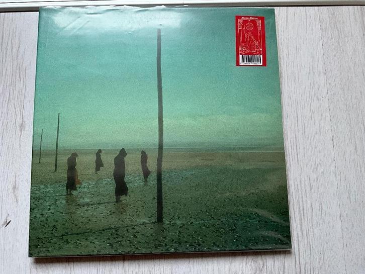 In All Her Forms (Vinyl) DEVILS WITCHES, Cd's en Dvd's, Vinyl | Hardrock en Metal, Nieuw in verpakking, Ophalen of Verzenden