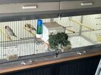 Broedkooien, Dieren en Toebehoren, Vogels | Hokken en Kooien, Ophalen, Gebruikt, Aluminium, Broedkooi of Kweekkooi