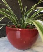 Prachtige vintage bloempot dikke uitvoering bol 17,3cm rood, Rond, Binnen, Ophalen of Verzenden, Zo goed als nieuw