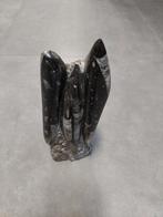 Orthocera Fossiel - Groot Sculptuur uit Marokko, Verzamelen, Mineralen en Fossielen, Ophalen of Verzenden