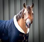 Lease pony's aangeboden/ bijrijder gezocht, Dieren en Toebehoren, Paarden en Pony's | Overige Paardenspullen, Ophalen, Nieuw, Dressuur