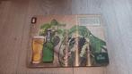 Grolsch export plaat, Verzamelen, Biermerken, Ophalen of Verzenden, Nieuw, Reclamebord, Plaat of Schild, Grolsch