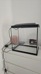 Aquarium with light 35x22x34cm, Ophalen, Zo goed als nieuw, Verlichting of Verwarming