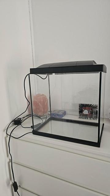 Aquarium with light 35x22x34cm beschikbaar voor biedingen