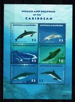 antigua 2009 pf blok dolfijnen zeezoogdieren zeeleven, Ophalen of Verzenden, Dier of Natuur