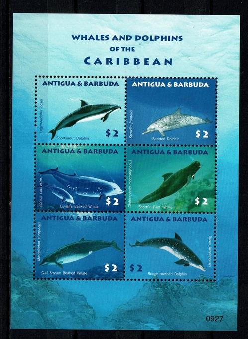 antigua 2009 pf blok dolfijnen zeezoogdieren zeeleven, Postzegels en Munten, Postzegels | Thematische zegels, Dier of Natuur, Ophalen of Verzenden