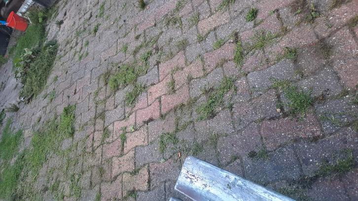 Hulp gezocht voor alleenstaande zwangere vrouw, Vacatures, Goede doelen en Vrijwilligerswerk, Overige vormen