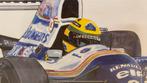Litho Ayerton Senna - Williams Renault FW16 - Limited, Antiek en Kunst, Ophalen