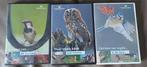 DVD'S vogelbescherming geniet v Vogels in de tuin, Cd's en Dvd's, Dvd's | Documentaire en Educatief, Alle leeftijden, Ophalen