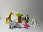 Duplo 10904 Babydieren, Ophalen of Verzenden, Zo goed als nieuw, Complete set, Duplo