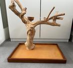 Javaboom, Ophalen, Zo goed als nieuw, Hout, Overige typen