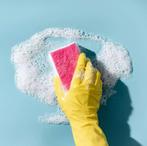 GEZOCHT: Betrouwbare schoonmaakheldin!, Ophalen of Verzenden