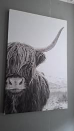 Canvas Schotse hooglander, Ophalen of Verzenden, Zo goed als nieuw, Schilderij, 75 cm of meer