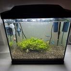 Aquarium compleet!, Ophalen, Zo goed als nieuw, Gevuld zoetwateraquarium