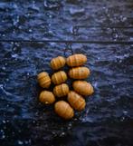 Fake food nep aas, Watersport en Boten, Ophalen of Verzenden, Nieuw, Overige typen