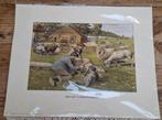 Ot en Sien prent, Bos aan 't Schaapscheren, schapen prent, 1980 tot heden, Nieuw, Ophalen of Verzenden, Dier