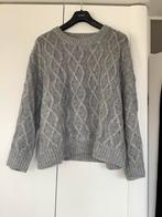 Leuke trui maat 44, Kleding | Dames, Grote Maten, Ophalen of Verzenden, Zo goed als nieuw, Grijs, Trui of Vest