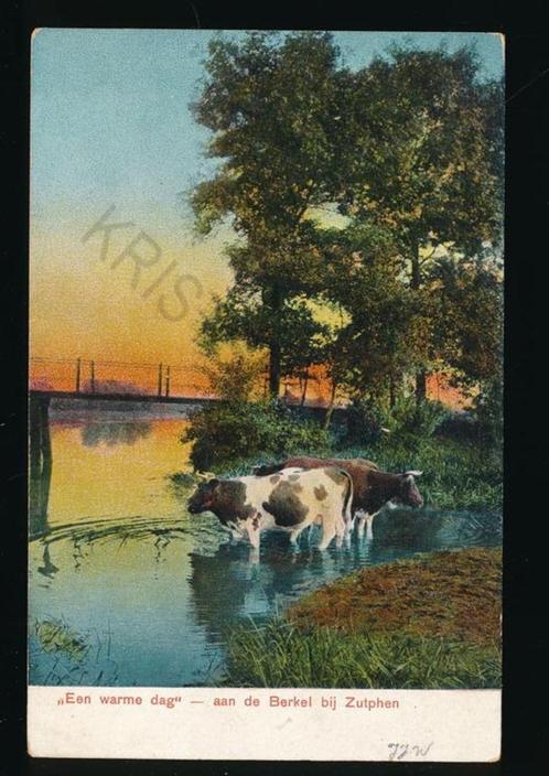 Aan de Berkel bij Zutphen - KRST005-3135, Verzamelen, Ansichtkaarten | Nederland, Ongelopen, Gelderland, Voor 1920, Verzenden