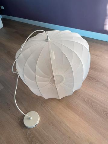 Plumeria lamp 