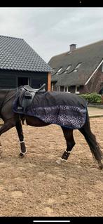 Uitrijdeken QHP zgan leopard full zwart blauw fleecegevoerd, Ophalen of Verzenden, Zo goed als nieuw