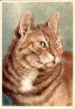 VHK, rode kater, H. Rol, Verzenden, 1960 tot 1980, Gelopen, Hond of Kat