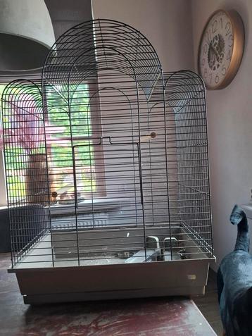 Vogelkooi beschikbaar voor biedingen