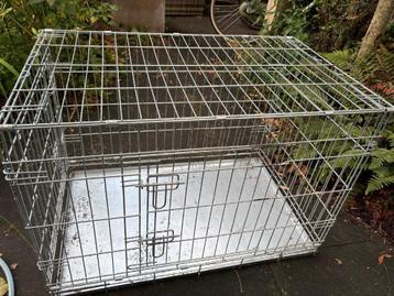 Bench hond beschikbaar voor biedingen